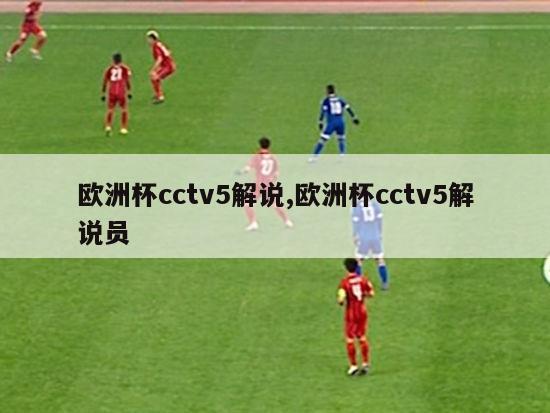 欧洲杯cctv5解说,欧洲杯cctv5解说员